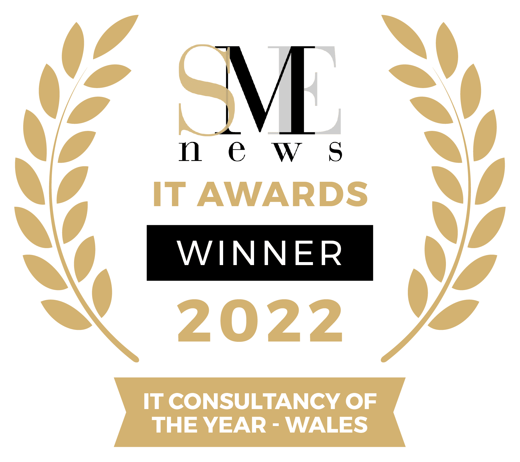 Remson IT | Consultancy of the Year - Wales